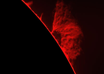 Solar Prominences on July 12, 2025