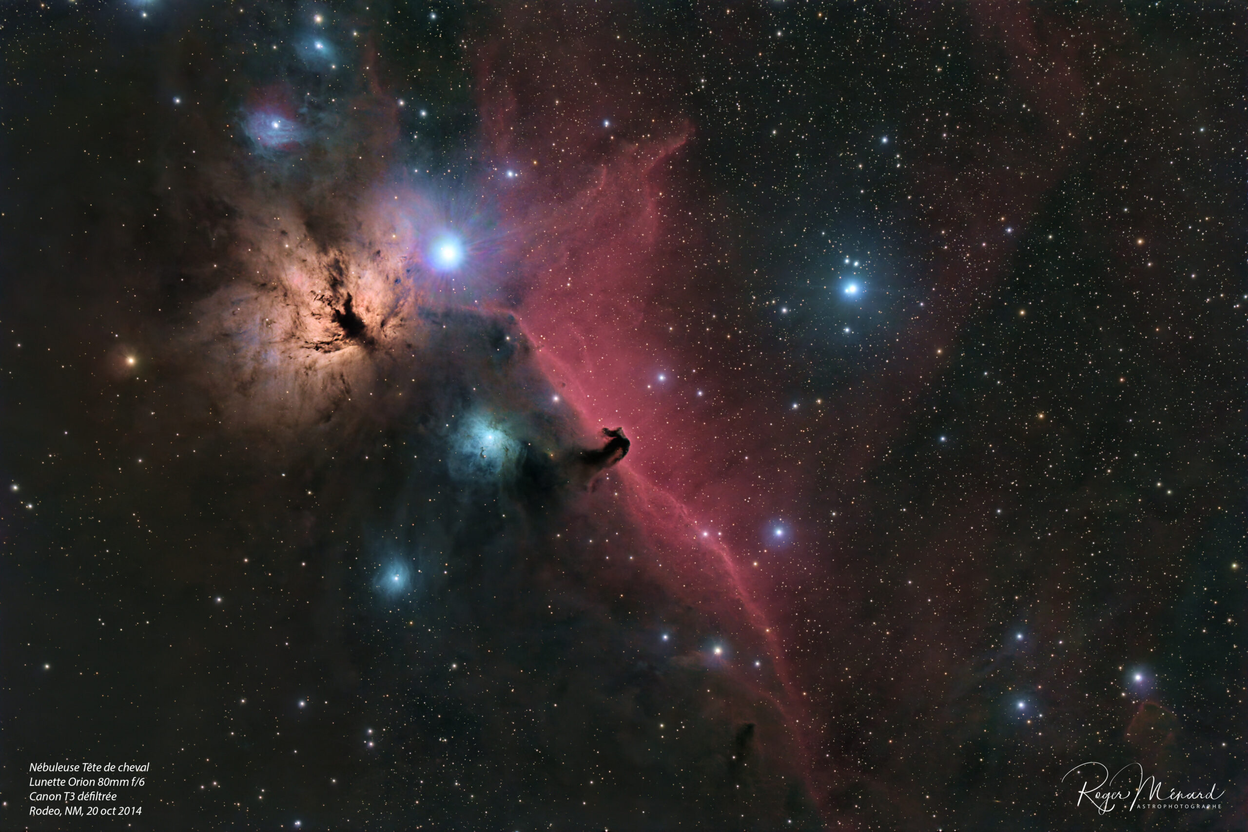 Horsehead 2014 processed 2026