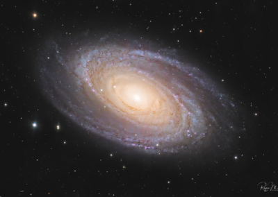 M 81 – Bode’s Galaxy