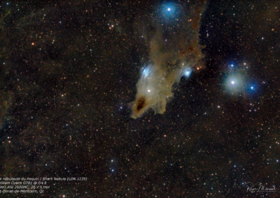 LDN 1235 – Nébuleuse du Requin