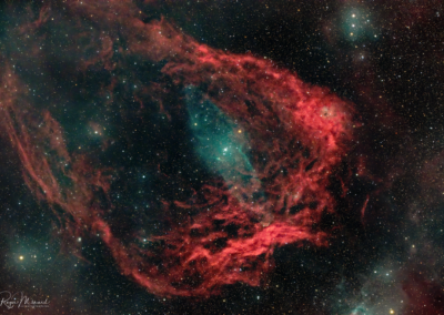 SH2-129 et Ou4 – Nébuleuse du Calmar géant