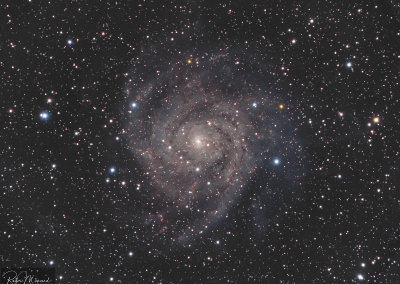 IC 342 – The “Hidden” Galaxy
