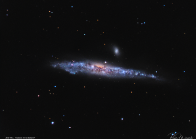NGC 4631 – The Whale Galaxy