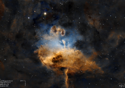 IC 417 – Nébuleuse de l’araignée