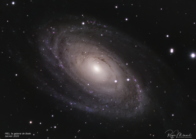 M 81 – Bode’s Galaxy