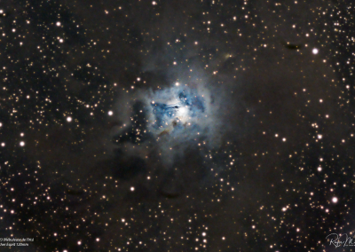 NGC 7023 – The Iris Bebula