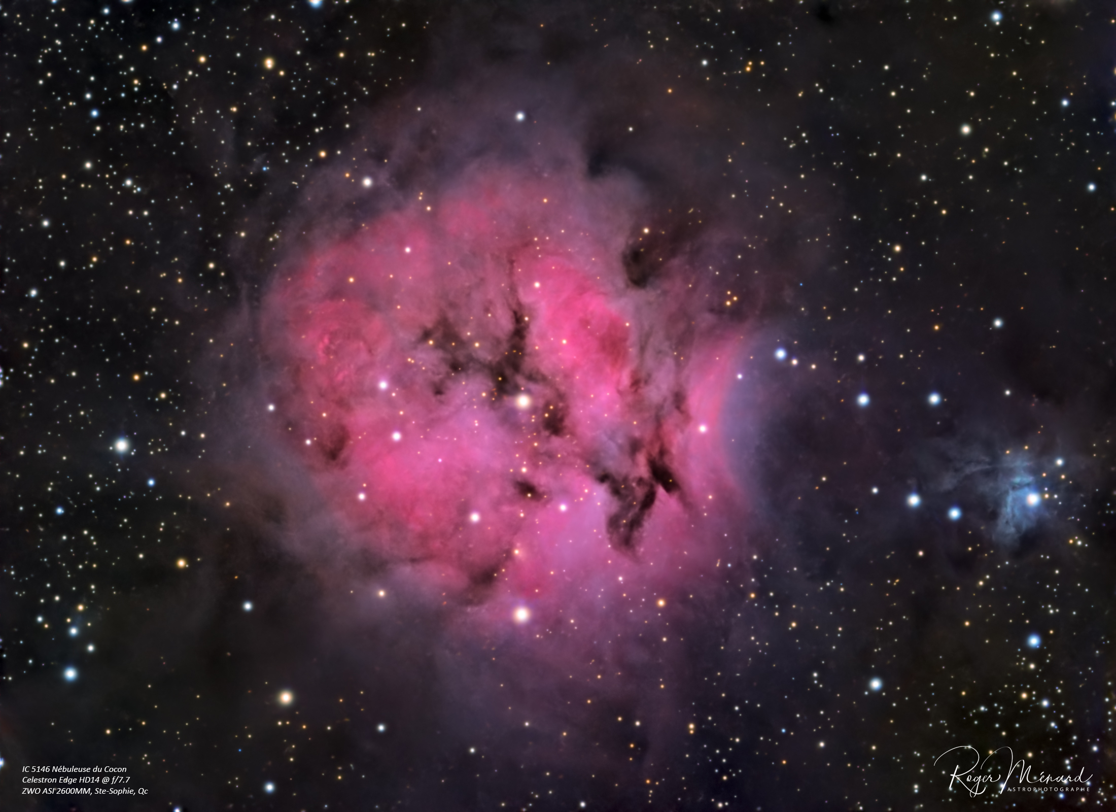 IC 5146 Cocoon Rev 2026-01